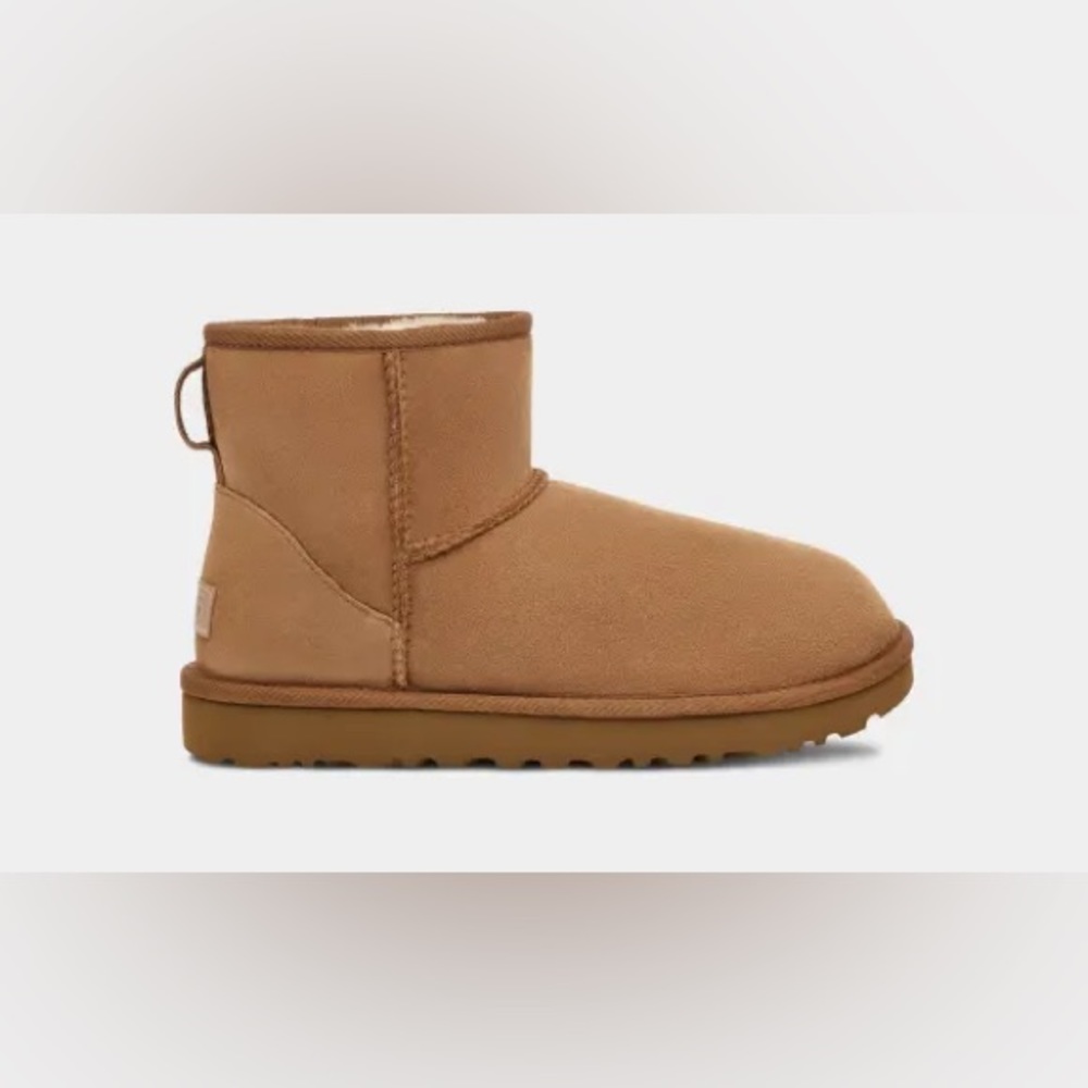 Size 6 Classic Mini II Ugg Boot in Chestnut